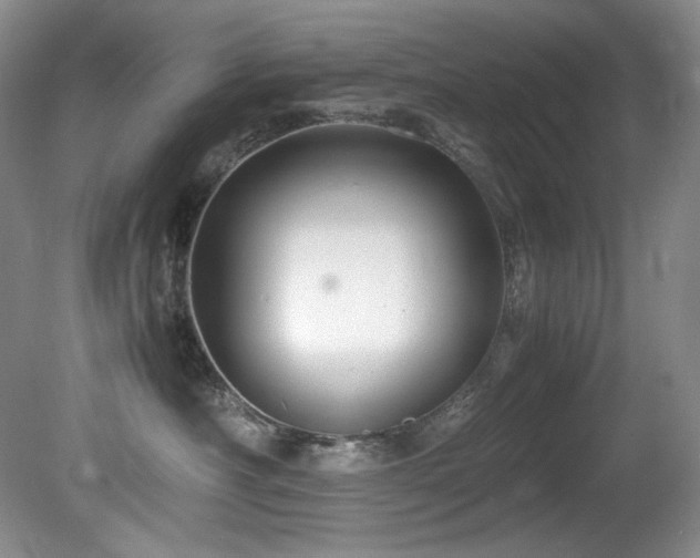 X0000081590430200701151314