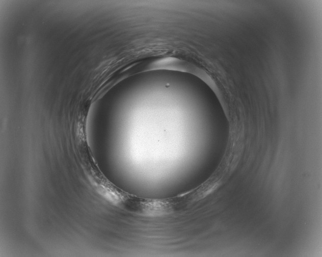 X0000081590432200701151314