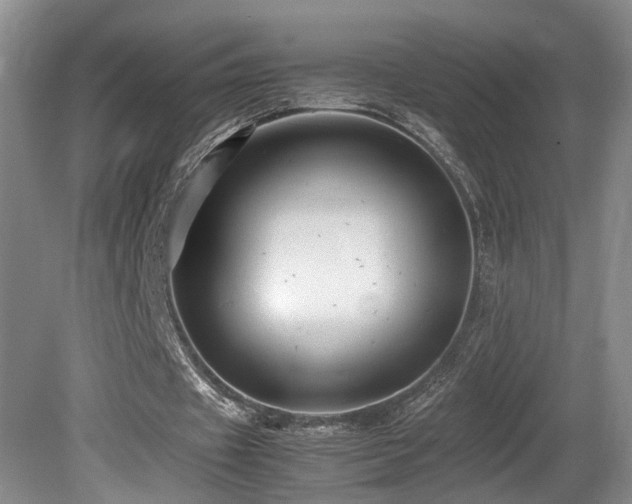 X0000081590433200701151313