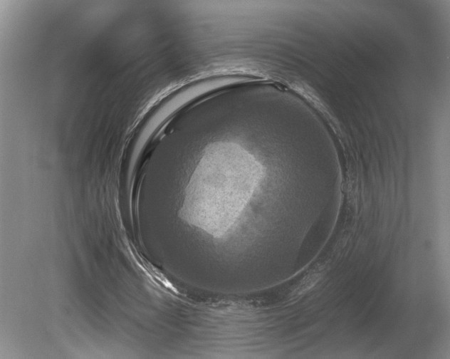 X0000081590434200701151313
