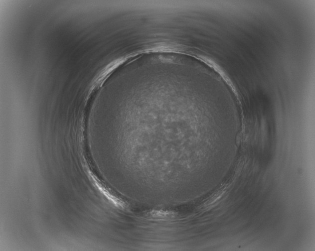 X0000081590437200701151313