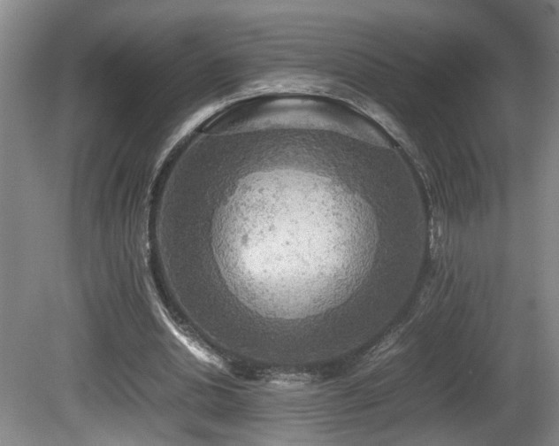 X0000081590438200701151313