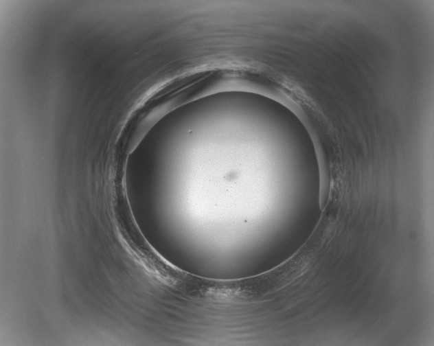 X0000081590440200701151313