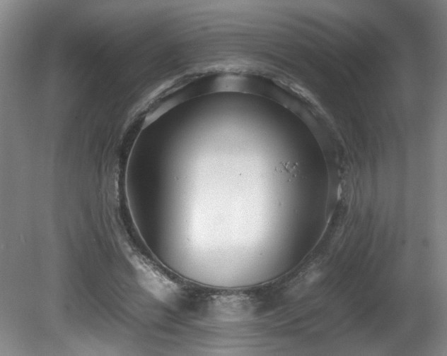 X0000081590446200701151313