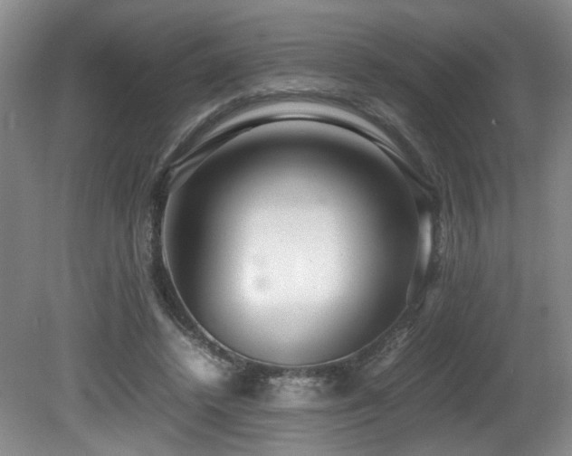 X0000081590448200701151313