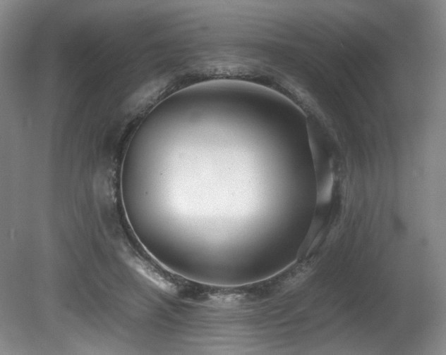 X0000081590450200701151313