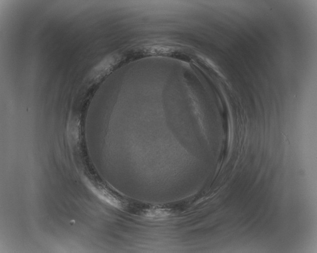 X0000081590451200701151313