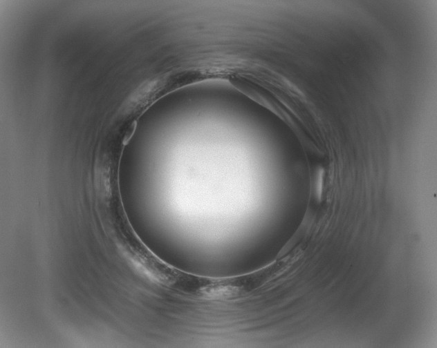 X0000081590452200701151313