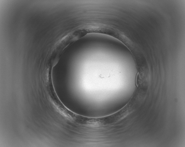 X0000081590454200701151313