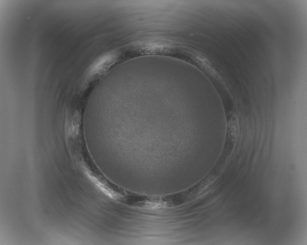 X0000081590458200701151313
