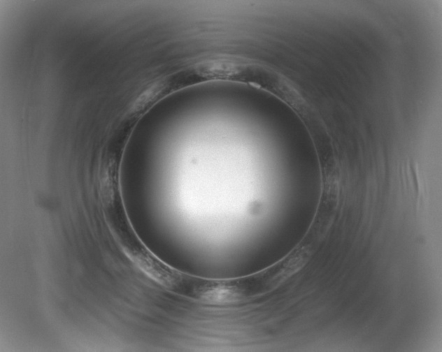 X0000081590460200701151314