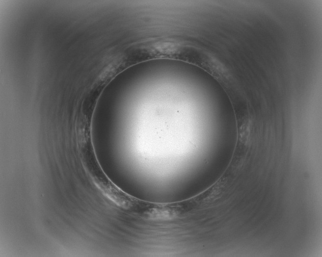 X0000081590464200701151314