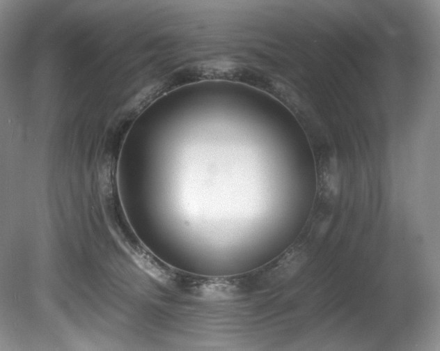 X0000081590468200701151314
