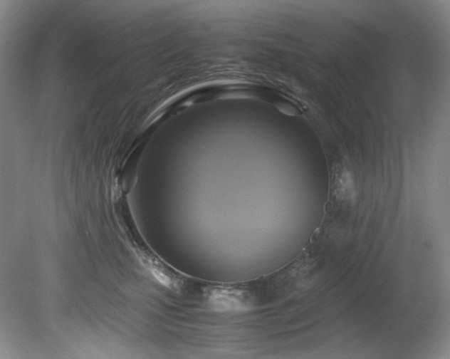 X0000081590471200701151314