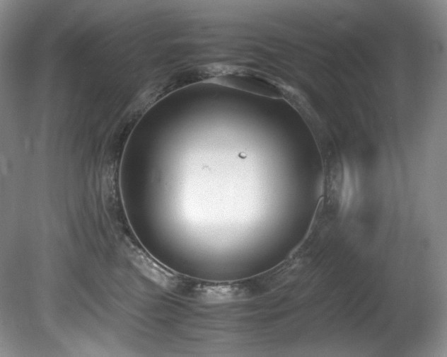 X0000081590473200701151314