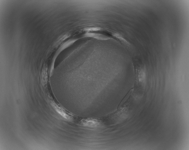 X0000081590475200701151314