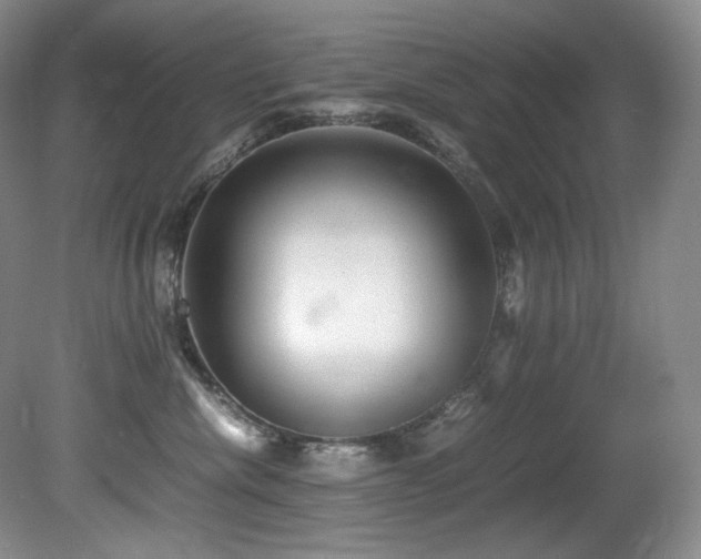 X0000081590476200701151314