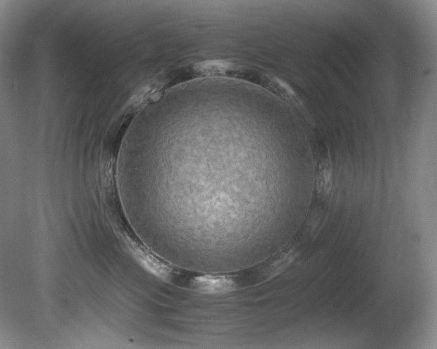 X0000081590477200701151314