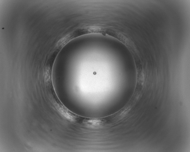 X0000081590478200701151314