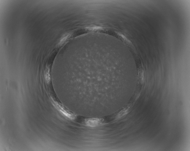 X0000081590479200701151314