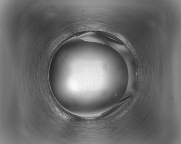 X0000081590481200701151313