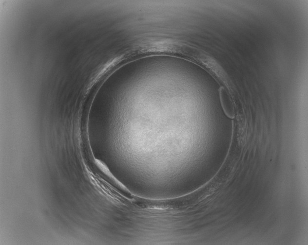 X0000081590482200701151313