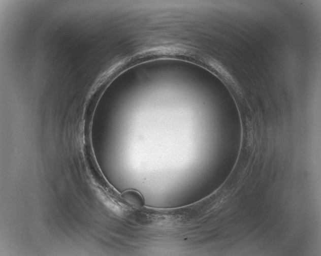 X0000081590486200701151313