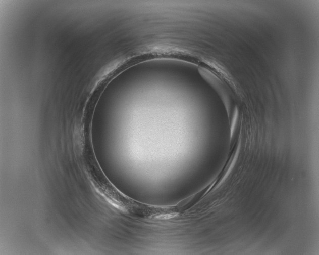 X0000081590488200701151313