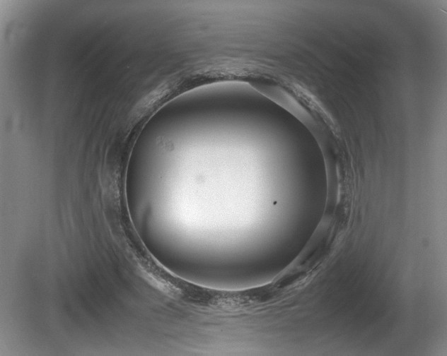 X0000081590489200701151313