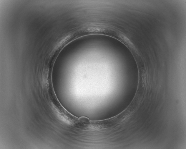 X0000081590490200701151313