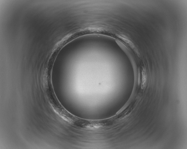 X0000081590492200701151313