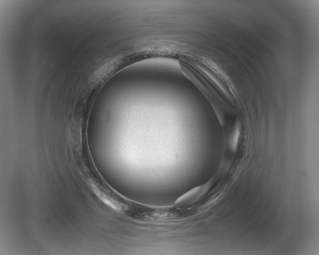 X0000081590493200701151313