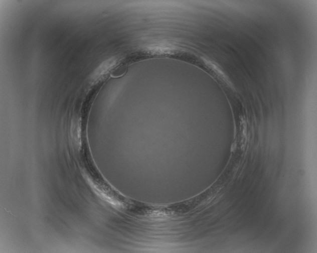 X0000081590494200701151313