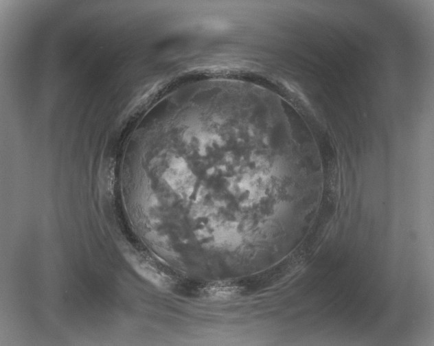 X0000081590495200701151313