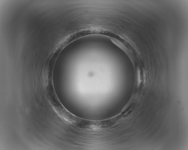X0000081590496200701151313