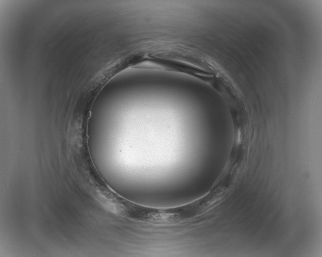 X0000081590497200701151313