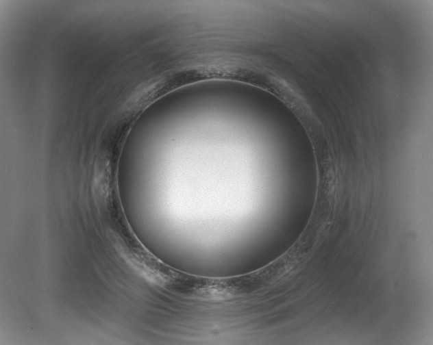 X0000081590498200701151313