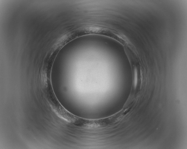 X0000081590500200701151313