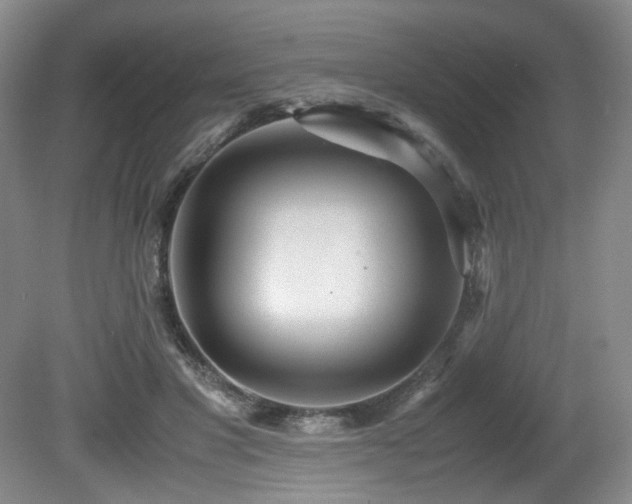 X0000081590501200701151313