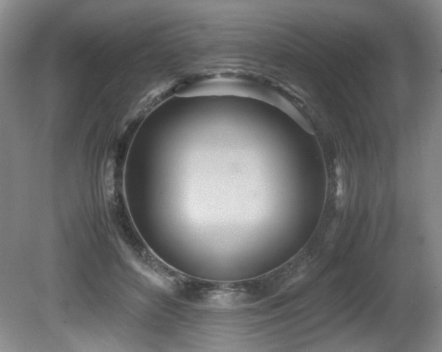 X0000081590504200701151313