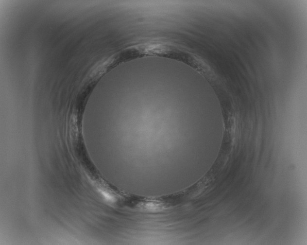 X0000081590506200701151313