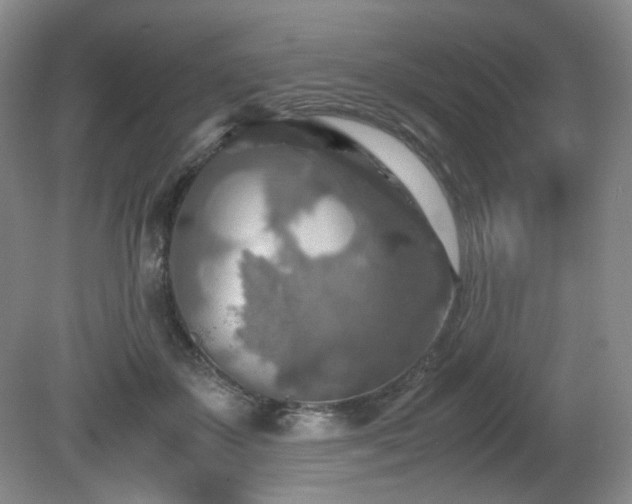 X0000081590507200701151313