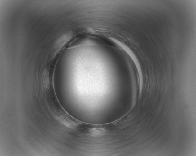 X0000081590508200701151313