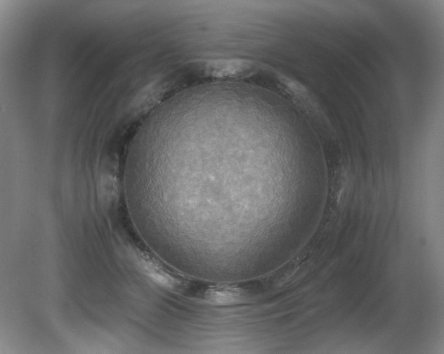 X0000081590510200701151313