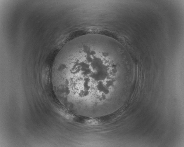 X0000081590511200701151313