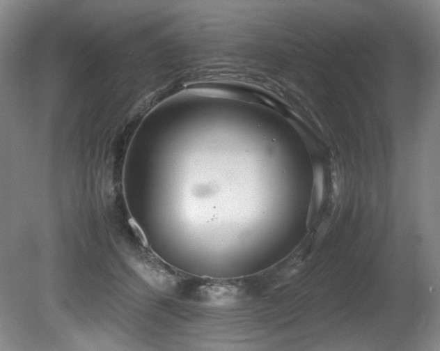 X0000081590512200701151313