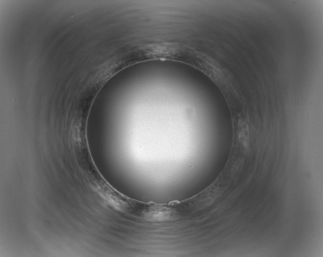 X0000081590514200701151312