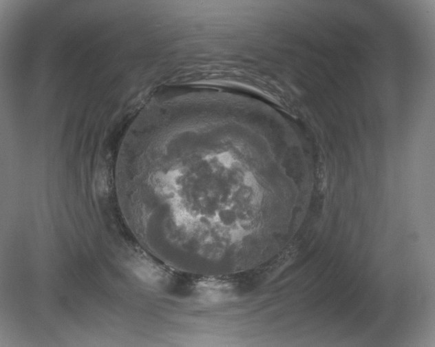 X0000081590515200701151312