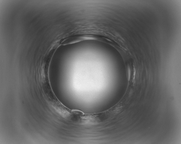 X0000081590516200701151312
