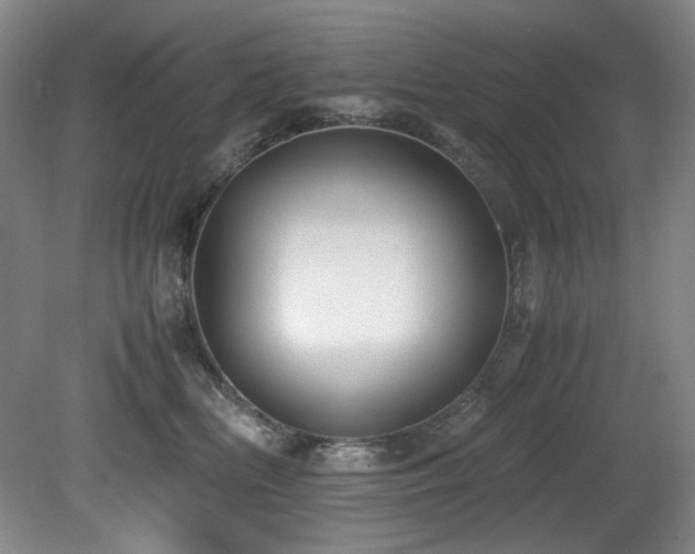 X0000081590518200701151312